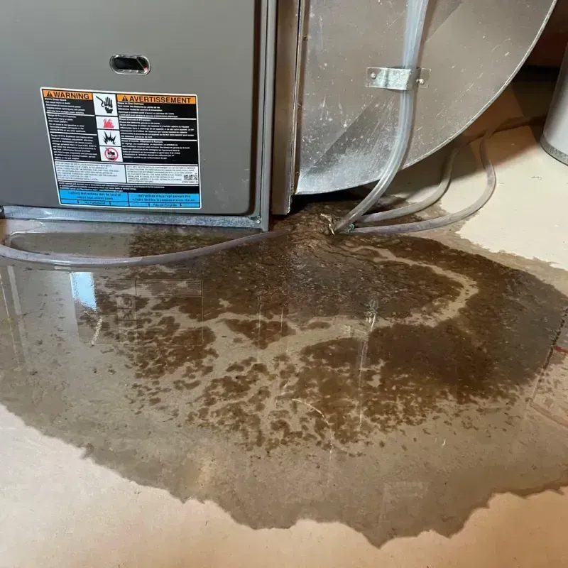 Appliance Leak Cleanup in Eveleth, MN